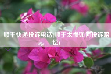 顺丰快递投诉电话(顺丰太慢如何投诉赔偿)