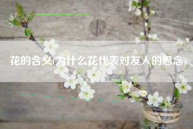 花的含义(为什么花代表对友人的思念)