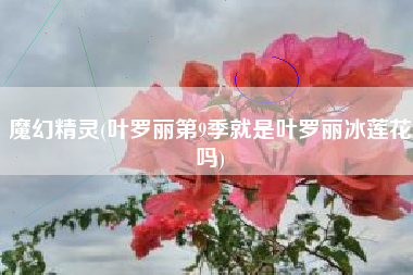 魔幻精灵(叶罗丽第9季就是叶罗丽冰莲花吗)