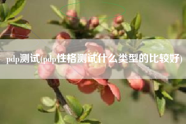 pdp测试(pdp性格测试什么类型的比较好)