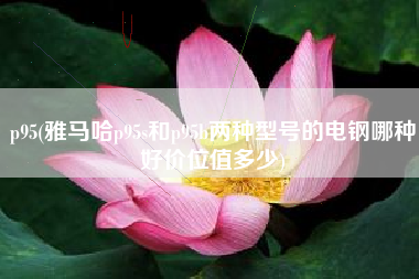 p95(雅马哈p95s和p95b两种型号的电钢哪种好价位值多少)