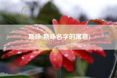斯咏(斯咏名字的寓意)