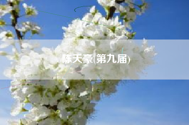 陈天豪(第九届)