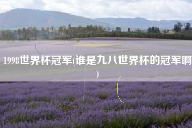 1998世界杯冠军(谁是九八世界杯的冠军啊)