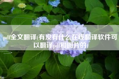 pdf全文翻译(有没有什么在线翻译软件可以翻译pdf和图片的)