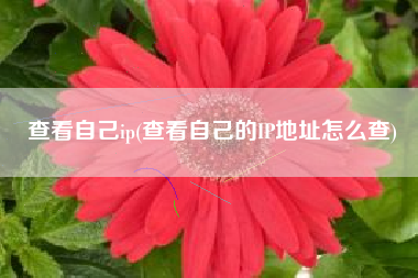 查看自己ip(查看自己的IP地址怎么查)