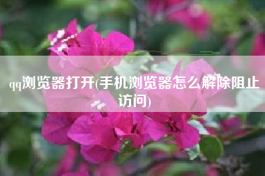 qq浏览器打开(手机浏览器怎么解除阻止访问)