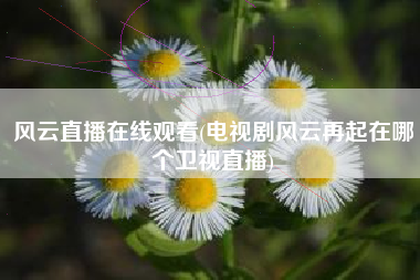 风云直播在线观看(电视剧风云再起在哪个卫视直播)