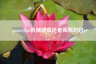 ganss(ikbc机械键盘还是高斯的好)