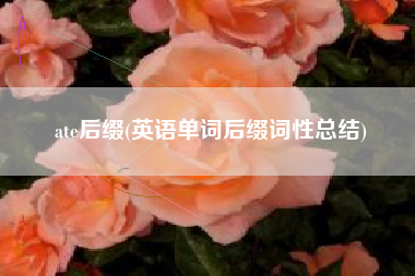 ate后缀(英语单词后缀词性总结)