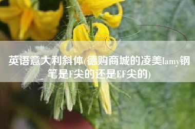 英语意大利斜体(德购商城的凌美lamy钢笔是F尖的还是EF尖的)