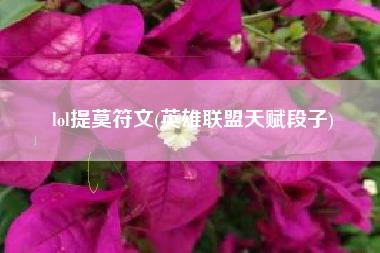 lol提莫符文(英雄联盟天赋段子)