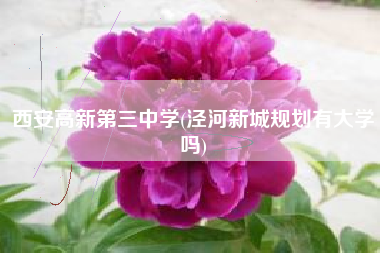 西安高新第三中学(泾河新城规划有大学吗)