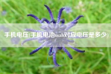 手机电压(手机电池mah对应电压是多少)