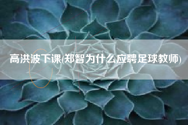 高洪波下课(郑智为什么应聘足球教师)