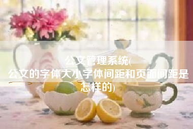 公文管理系统(
公文的字体大小字体间距和页面间距是怎样的) 公文管理系统(
公文的字体大小字体间距和页面间距是怎样的)