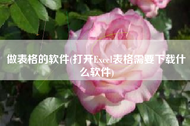 做表格的软件(打开Excel表格需要下载什么软件)