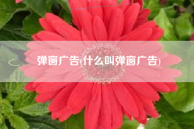 弹窗广告(什么叫弹窗广告)