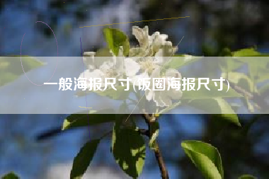 一般海报尺寸(饭圈海报尺寸)