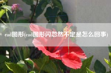 cad图形(cad图形闪忽然不定是怎么回事)
