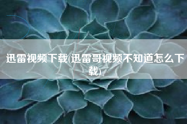 迅雷视频下载(迅雷哥视频不知道怎么下载)