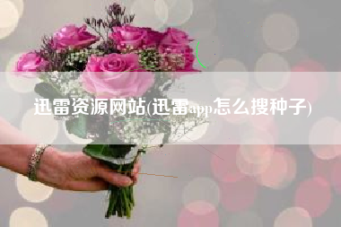 迅雷资源网站(迅雷app怎么搜种子)