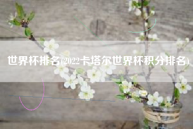 世界杯排名(2022卡塔尔世界杯积分排名)