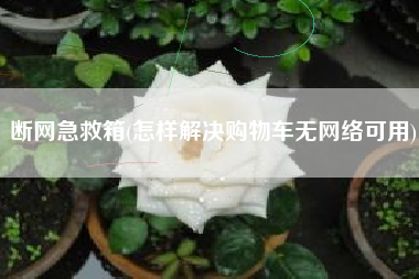 断网急救箱(怎样解决购物车无网络可用)