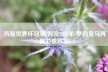 历届世界杯冠军(假设2018年c罗的皇马再度卫冕欧冠)