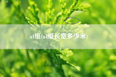 a4纸(a4纸长宽多少米)