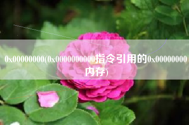 0x00000000(0x0000000000指令引用的0x00000000内存)