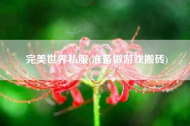完美世界私服(准备做游戏搬砖)