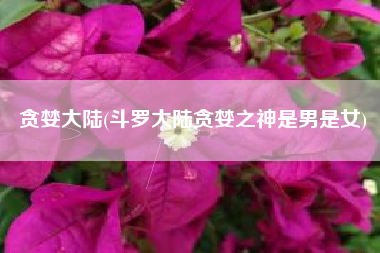 贪婪大陆(斗罗大陆贪婪之神是男是女)