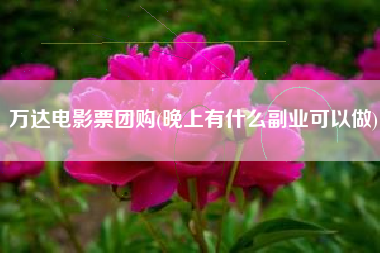 万达电影票团购(晚上有什么副业可以做)