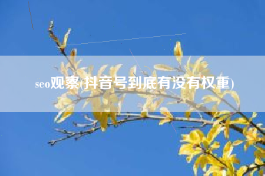 seo观察(抖音号到底有没有权重)