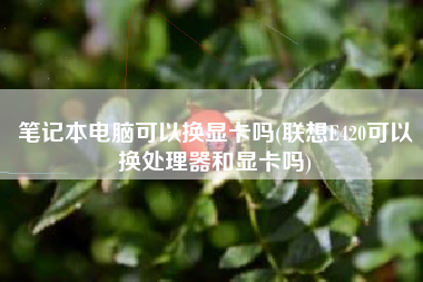 笔记本电脑可以换显卡吗(联想E420可以换处理器和显卡吗)