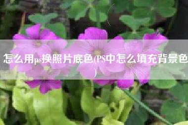怎么用ps换照片底色(PS中怎么填充背景色)