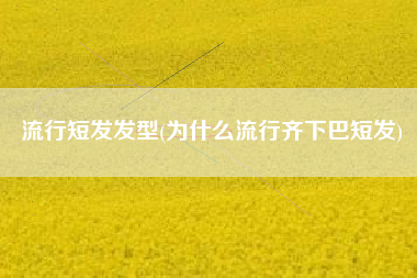 流行短发发型(为什么流行齐下巴短发)