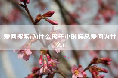爱问搜索(为什么孩子小时候总爱问为什么)