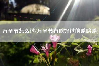 万圣节怎么过(万圣节有啥好过的哈哈哈)