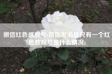 详细阅读:微信红色感叹号(微信发消息只有一个红色感叹号是什么情况) 微信红色感叹号(微信发消息只有一个红色感叹号是什么情况)