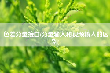 色差分量接口(分量输入和视频输入的区别)