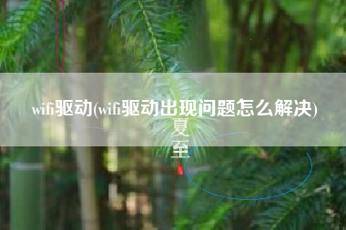 wifi驱动(wifi驱动出现问题怎么解决)