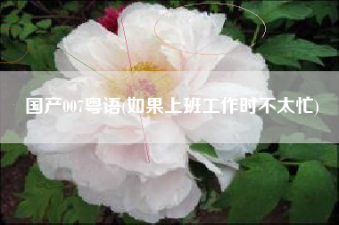 国产007粤语(如果上班工作时不太忙)