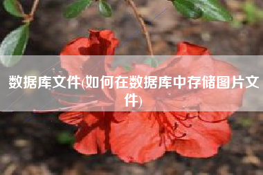 数据库文件(如何在数据库中存储图片文件)