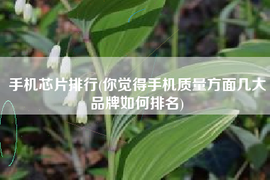 详细阅读:手机芯片排行(你觉得手机质量方面几大品牌如何排名) 手机芯片排行(你觉得手机质量方面几大品牌如何排名)