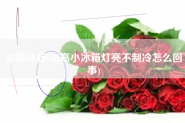 志高冰箱(志高小冰箱灯亮不制冷怎么回事)