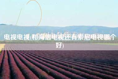 电视电视(和海信电视还有索尼电视哪个好)