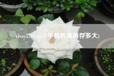 vivoy57(vivoy57手机机身内存多大)