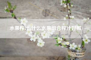 水果榨汁(什么水果组合榨汁好喝)